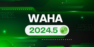 WAHA 2024.5 - Swagger White Label and stability improvements