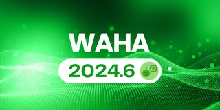 WAHA 2024.6 - NOWEB Store, Dashboard for Core, HTTPS