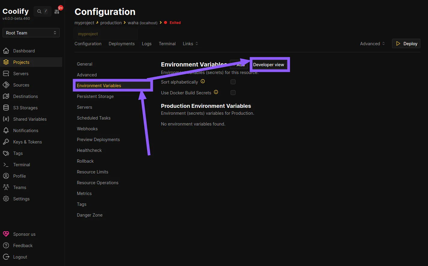 Environment variables view